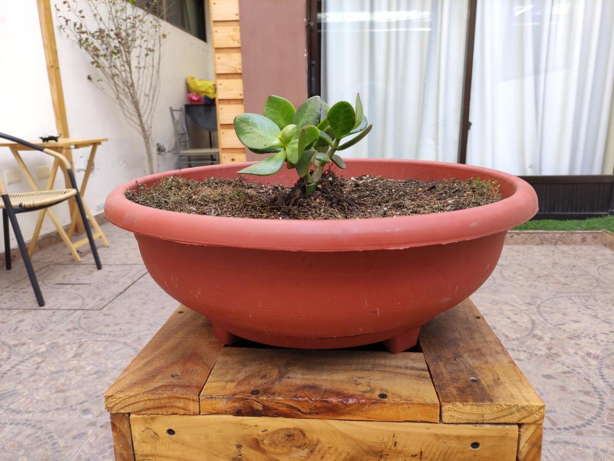 Albergue Geosol
